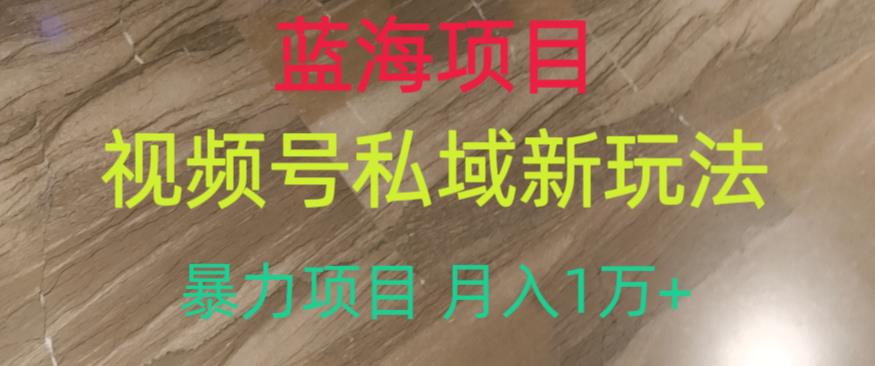 蓝海项目，视频号私域新玩法，暴力项目月入1万+_抖汇吧