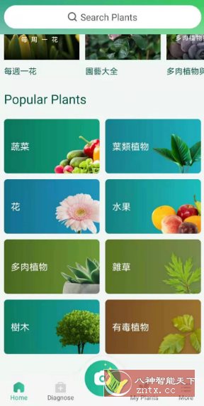 PictureThis 植物识别v5.1.7专业版_抖汇吧