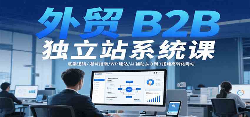 外贸B2B独立站系统课：底层逻辑/避坑指南/WP建站/AI辅助从0到1搭建高转化网站_抖汇吧