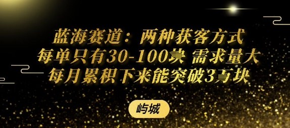 蓝海赛道：两种获客方式每单只有30-100米 需求量大每月累积下来能突破3W_抖汇吧