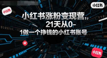 小红书涨粉变现营，21天从0-1做一个挣钱的小红书账号_抖汇吧