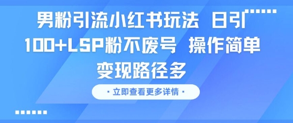 男粉引流小红书玩法，日引100+LSP粉不废号，操作简单，变现路径多_抖汇吧