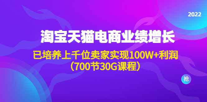 淘系天猫电商业绩增长：已培养上千位卖家实现100W+利润（700节30G课程）_抖汇吧