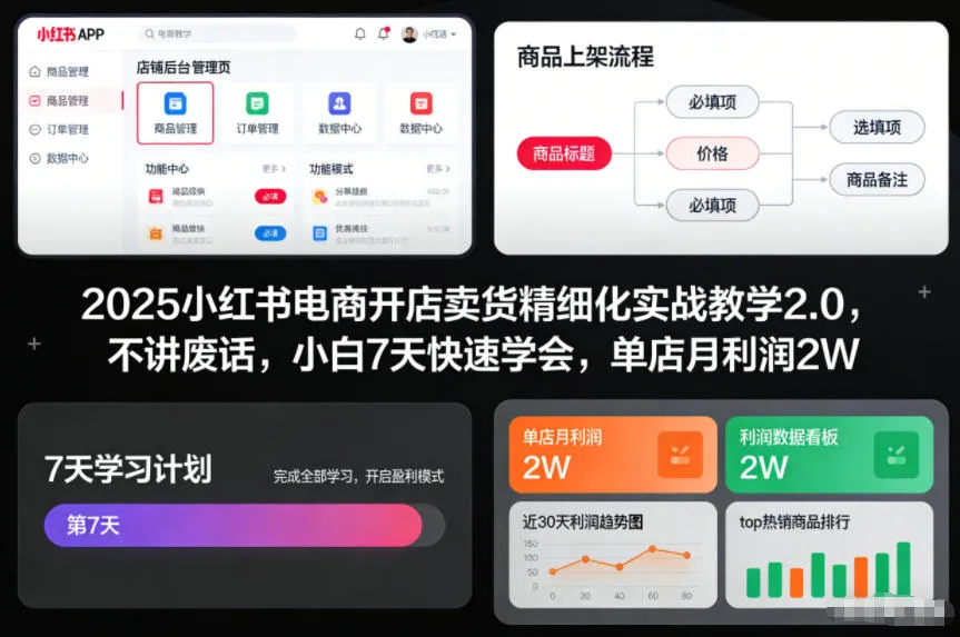 2025小红书电商开店卖货精细化实战教学2.0，不讲废话，小白7天快速学会，单店月利润2W_抖汇吧