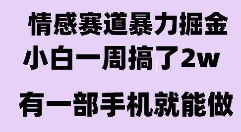 情感暴力掘金项目，新人操作一周挣了2W，长期稳定小白可做【揭秘】_抖汇吧