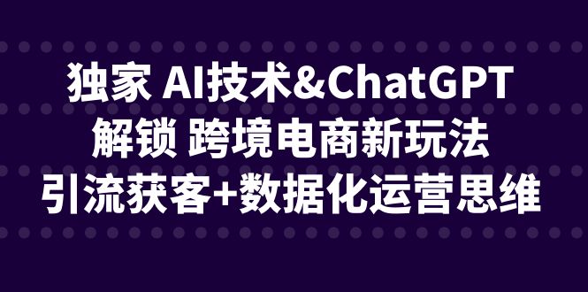 独家 AI技术&ChatGPT解锁 跨境电商新玩法，引流获客+数据化运营思维_抖汇吧