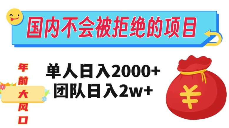在国内不怕被拒绝的项目，单人日入2000，团队日入20000，不容错过！_抖汇吧