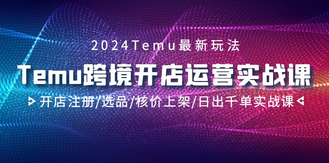 2024Temu跨境开店运营实战教程，开店注册/选品/核价上架/日出千单实战课_抖汇吧