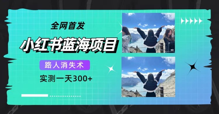 全网首发，小红书蓝海项目，路人消失术，实测一天300+（教程+工具）_抖汇吧