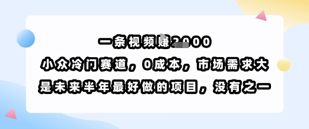一条视频挣1k，小众冷门赛道，0成本，市场需求大，是未来半年最好做的项目，没有之一_抖汇吧