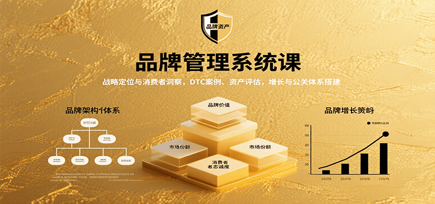 品牌管理系统课：战略定位与消费者洞察，DTC案例、资产评估，增长与公关体系搭建_抖汇吧