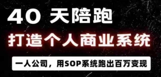 40天陪跑打造个人商业系统，一人公司，用SOP系统跑出百W变现_抖汇吧