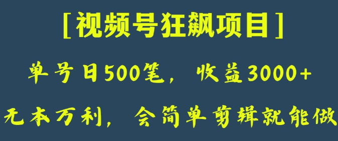 日收款500笔，纯利润3000+，视频号狂飙项目，会简单剪辑就能做【揭秘】_抖汇吧