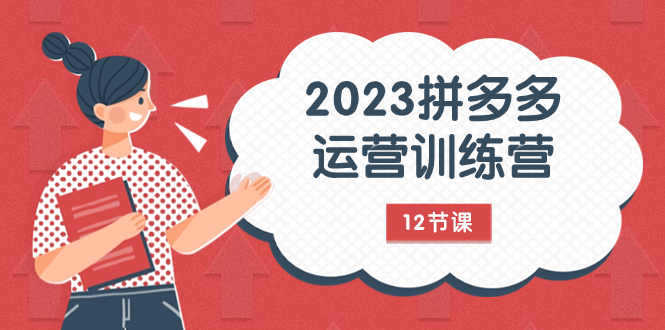 2023拼多多运营训练营：流量底层逻辑，免费+付费流量玩法（12节课）_抖汇吧