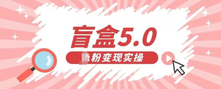 盲盒交友5.0，男粉变现实操项目，亲测变现效果极好【揭秘】_抖汇吧