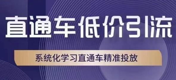 直通车低价引流教程，系统化学习直通车精准投放_抖汇吧