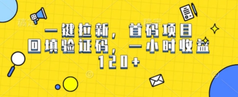 一键拉新，首码项目，回填验证码，一小时收益1张_抖汇吧