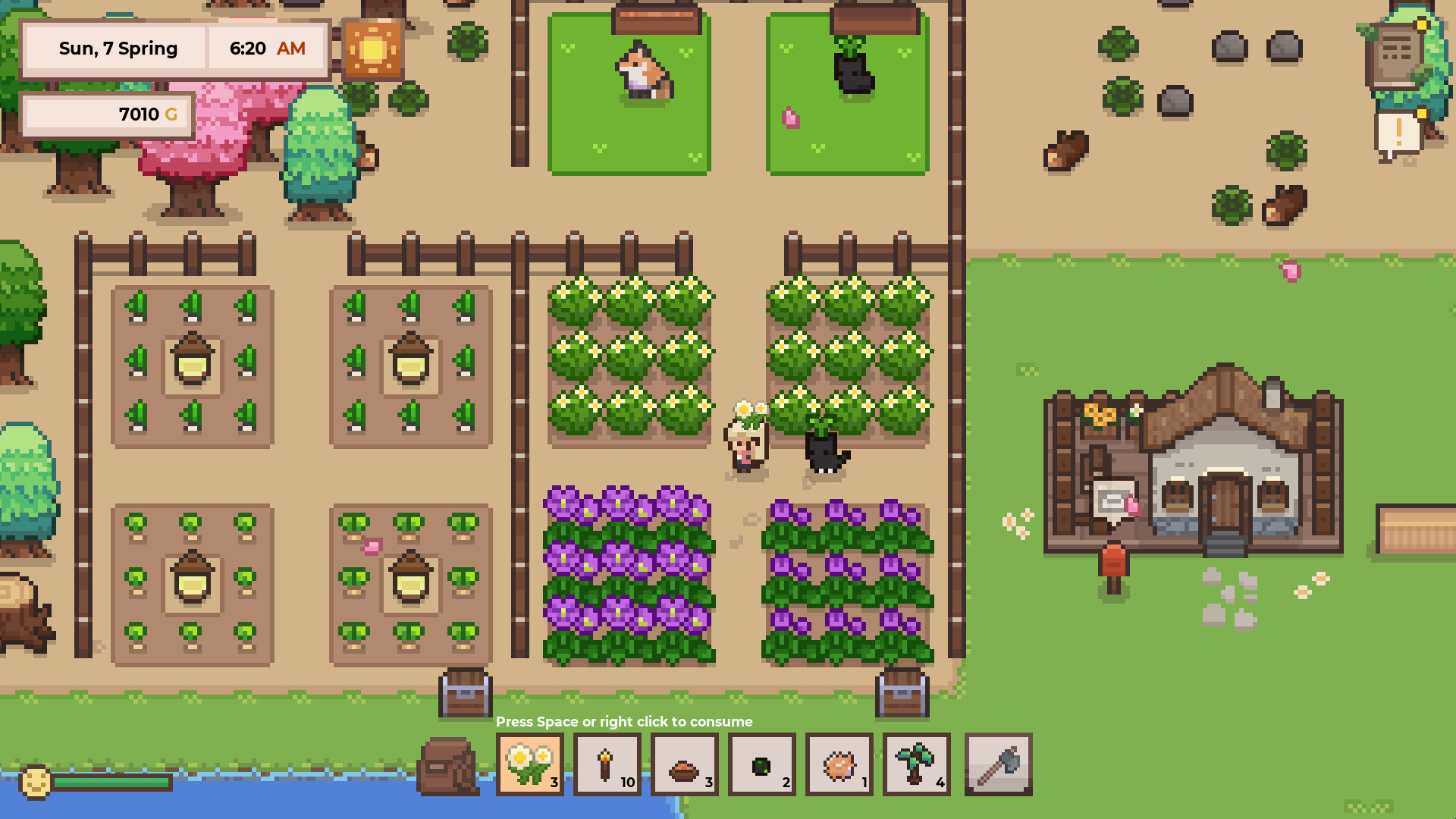 研究物语/Research Story_抖汇吧