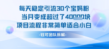 每天稳定引流30个人 当月变成超过了4个W项目流程非常简单适合小白_抖汇吧