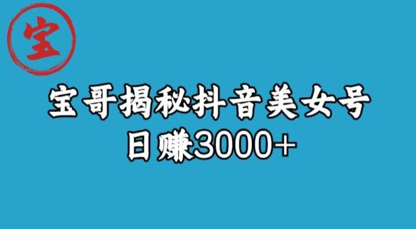 宝哥揭秘抖音美女号玩法，日赚3000+【揭秘】_抖汇吧