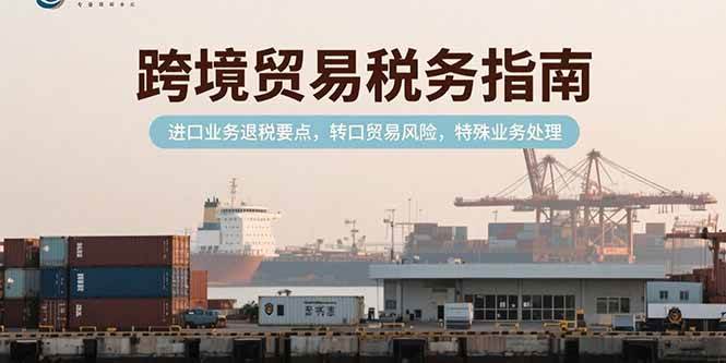 （15381期）跨境贸易税务指南，进口业务退税要点，转口贸易风险，特殊业务处理_抖汇吧