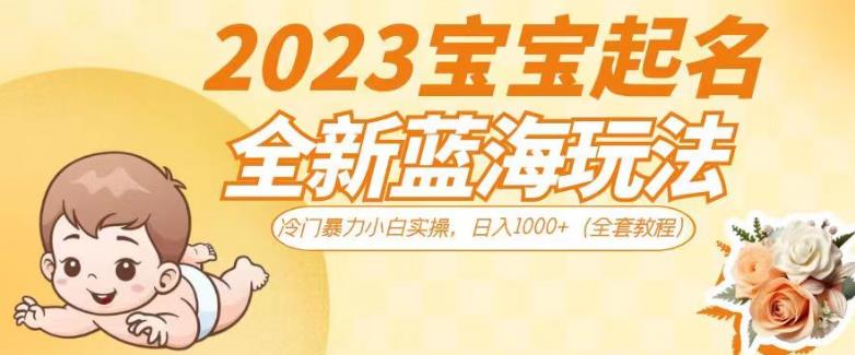 2023宝宝起名全新蓝海玩法，冷门暴力小白实操，日入1000+（全套教程）_抖汇吧