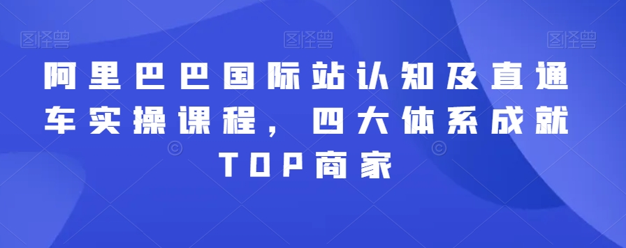 阿里巴巴国际站认知及直通车实操课程，四大体系成就TOP商家_抖汇吧