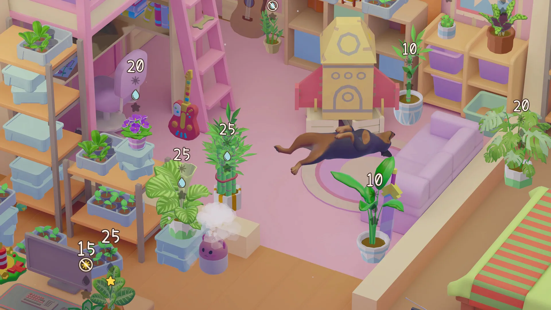 我的小绿屋/Urban Jungle