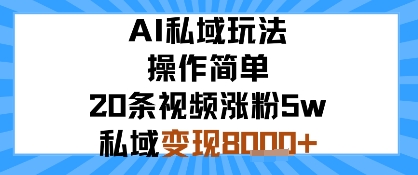 AI私域玩法，操作简单，20条视频涨粉5w，私域变现8k+_抖汇吧
