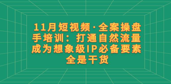 11月短视频·全案操盘手培训：打通自然流量 成为想象级IP必备要素 全是干货_抖汇吧