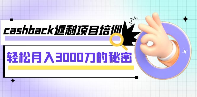 cashback返利项目培训：轻松月入3000刀的秘密（8节课）_抖汇吧