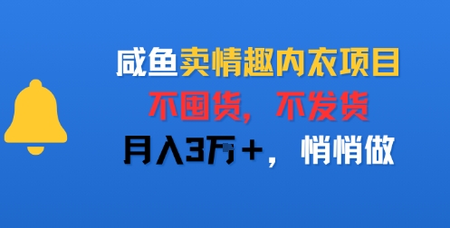 咸鱼卖情趣内衣项目，不囤货，不发货，月入3W+，悄悄做_抖汇吧