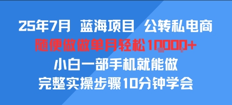 25年7月蓝海项目,公转私电商,随便做做单月轻松1w,小白一部手机就能做,完整实操步骤10分钟学会_抖汇吧