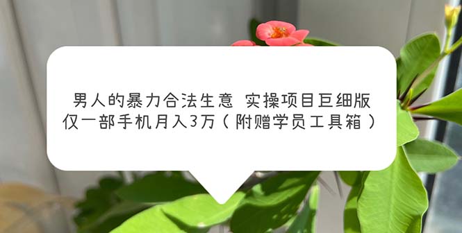 男人的暴力合法生意实操项目巨细版：仅一部手机月入3w（附赠学员工具箱）_抖汇吧