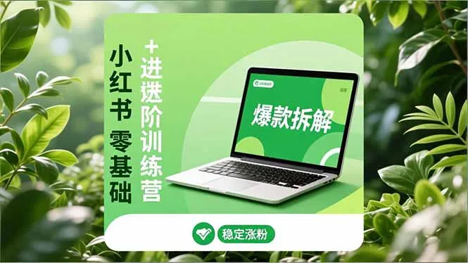 小红书零基础+高阶训练营：安全养号、爆款拆解、长效运营，实现稳定涨粉与变现_抖汇吧