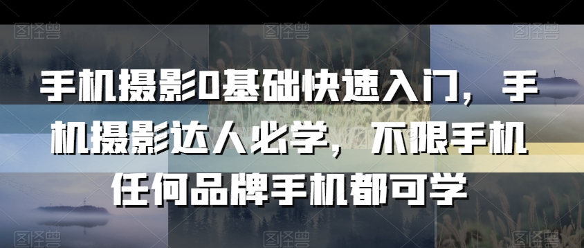 手机摄影0基础快速入门，手机摄影达人必学，不限手机任何品牌手机都可学_抖汇吧