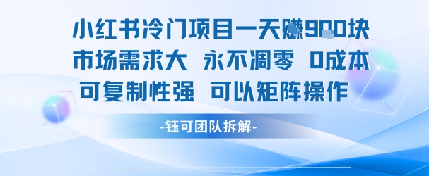 小红书冷门项目一天收益9张，市场需求大，0成本，可复制性强可以矩阵操作_抖汇吧