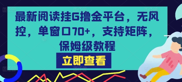 最新阅读挂G撸金平台，无风控，单窗口70+，支持矩阵，保姆级教程【揭秘】_抖汇吧