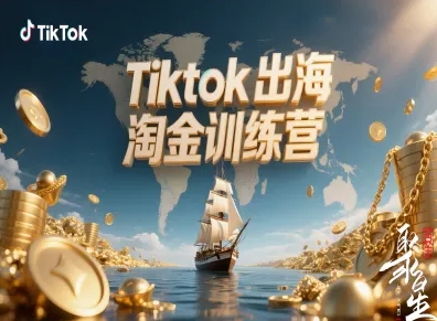 Tiktok出海淘金训练营，跨境电商TK实战变现_抖汇吧