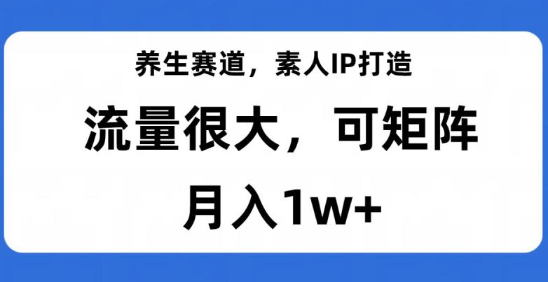 养生赛道IP打造，流量巨大，教你月入1W+【完整揭秘】_抖汇吧