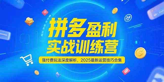 拼多多盈利实战训练营，强付费玩法深度解析，2025最新运营技巧合集_抖汇吧