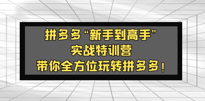 拼多多“新手到高手”实战特训营：带你全方位玩转拼多多！_抖汇吧