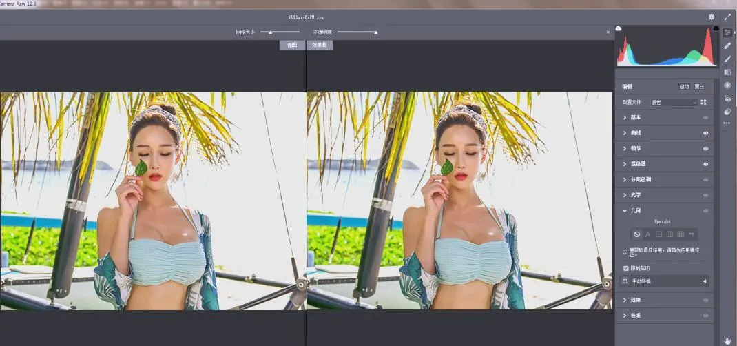 RAW处理Adobe Camera Raw v18.2.0中文版_抖汇吧