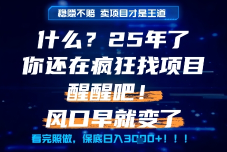 什么？25年你还在疯狂找项目做，醒醒吧，看完这些你全都懂了！【揭秘】_抖汇吧