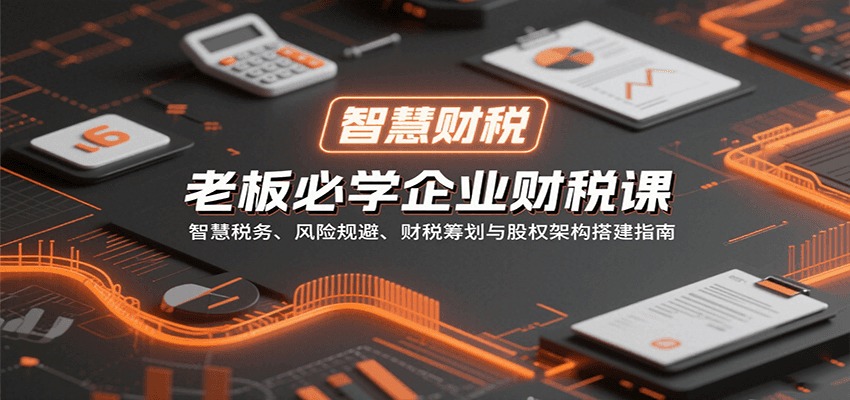 老板必学企业财税课：智慧税务、风险规避、财税筹划与股权架构搭建指南_抖汇吧