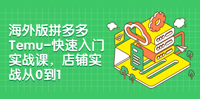 海外版拼多多Temu-快速入门实战课，店铺实战从0到1（12节课）_抖汇吧