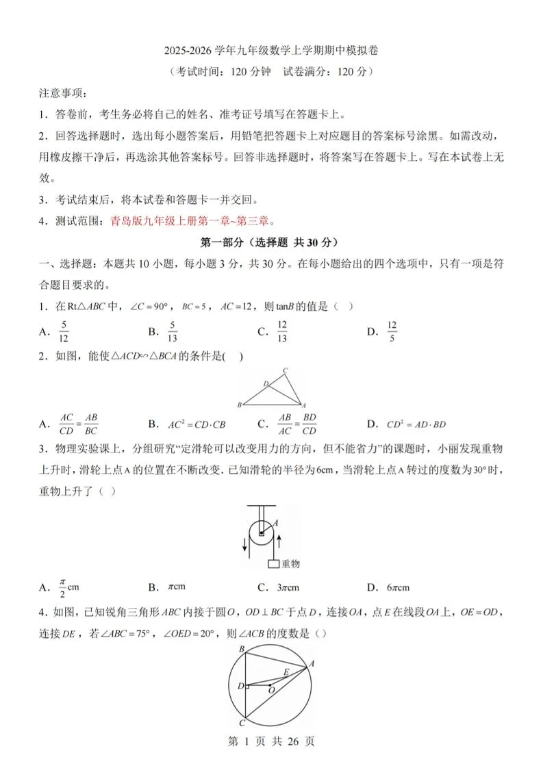 九年级上数学期中模拟卷（青岛版）