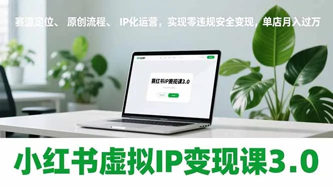 小红书虚拟IP变现课3.0，赛道定位、原创流程、IP化运营，实现零违规安全变现，单店月入过万_抖汇吧