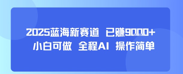 2025蓝海新赛道 已挣9k+ 小白可做 全程AI 操作简单_抖汇吧