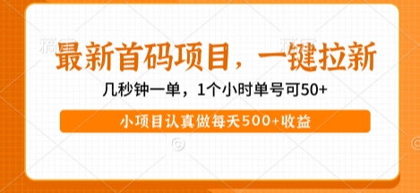 最新首码项目，操作最简单，收益高，一键拉新，1个小时单号可50+，小项目认真做每天5张+收益【揭秘】_抖汇吧